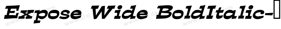 Expose Wide BoldItalic字体转换